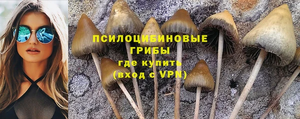 СК Балабаново